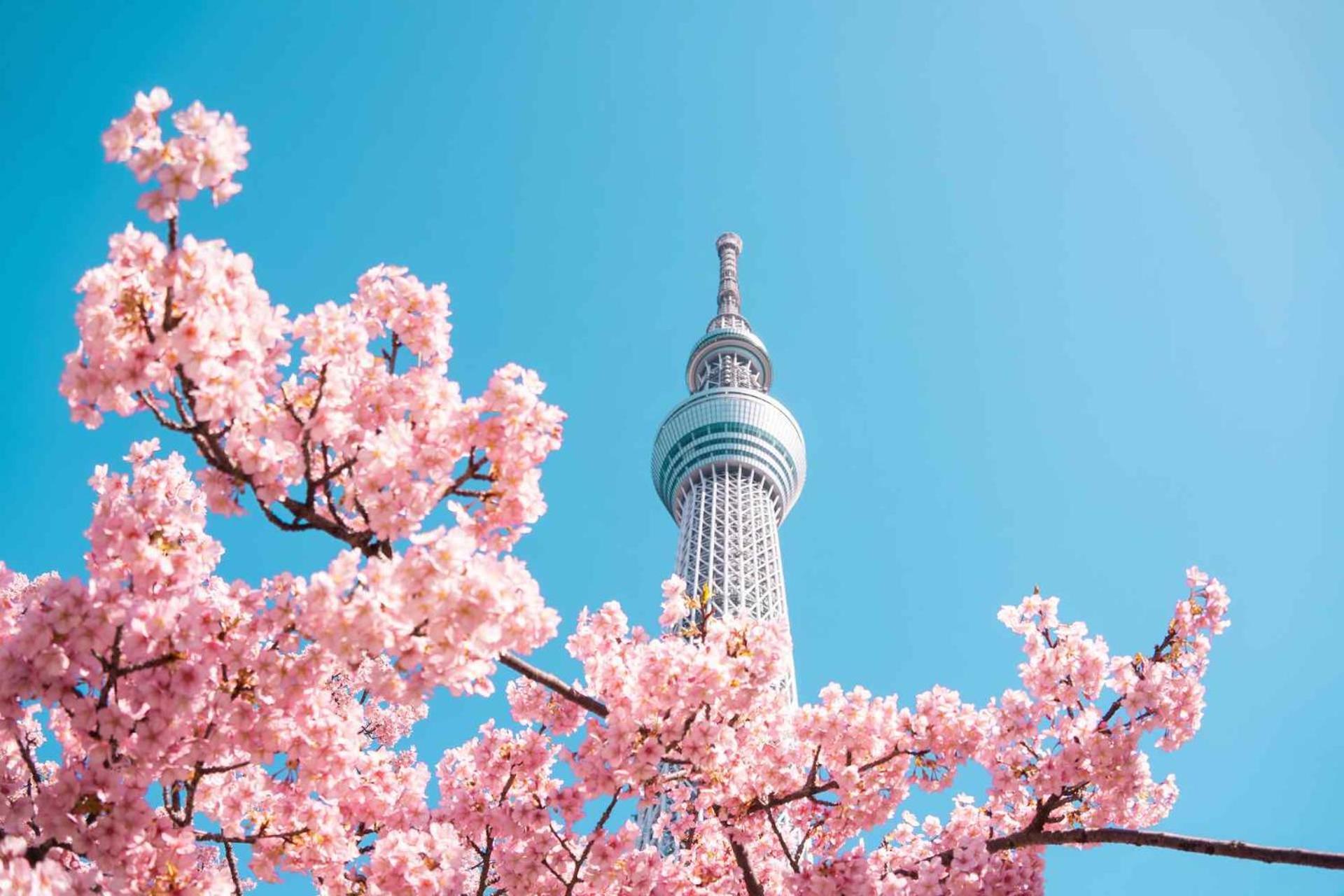 Hotel Fl Asakusa Tokio